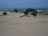 Playa de dunas
